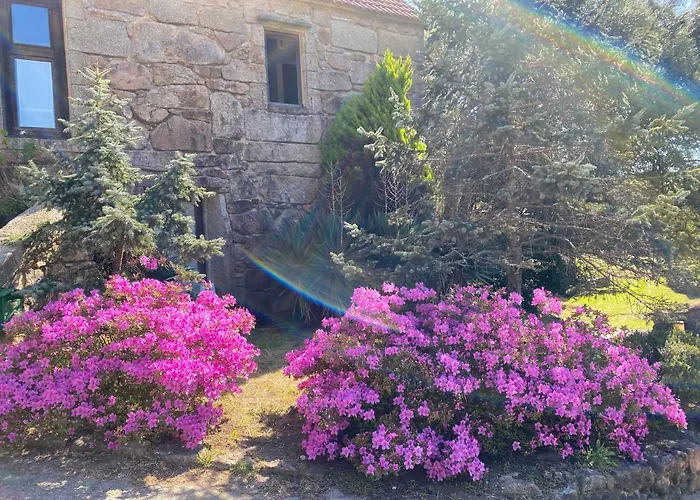 Casa San Cibran *